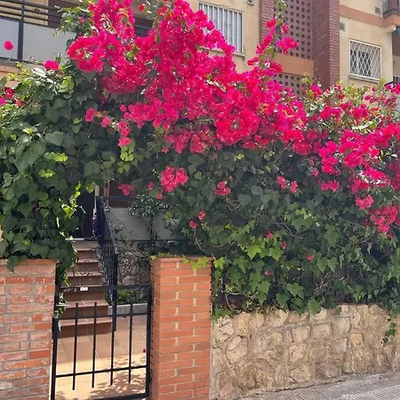 شقة Precioso Bajo En 2a Linea De Mar